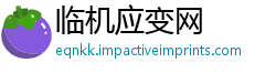 临机应变网